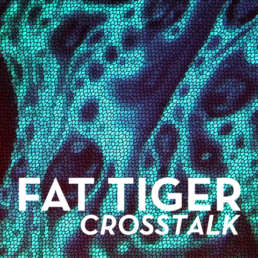 FAT TIGER Crosstalk